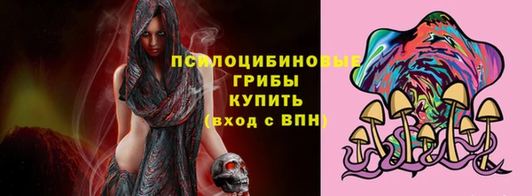 apvp Нягань