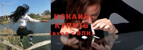 ПСИЛОЦИБИНОВЫЕ ГРИБЫ Новозыбков