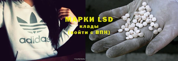 ПСИЛОЦИБИНОВЫЕ ГРИБЫ Новозыбков