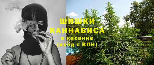 гашик Новокубанск