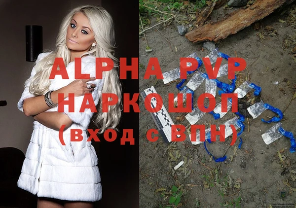 ПСИЛОЦИБИНОВЫЕ ГРИБЫ Новозыбков