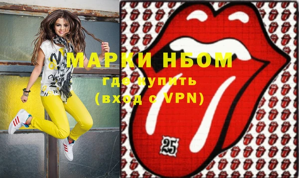 ПСИЛОЦИБИНОВЫЕ ГРИБЫ Новозыбков