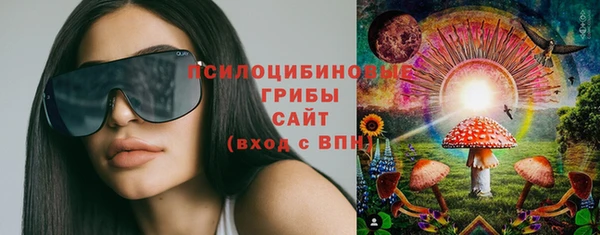гашик Новокубанск