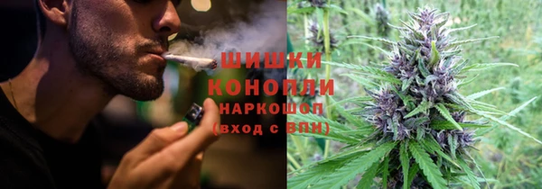 ПСИЛОЦИБИНОВЫЕ ГРИБЫ Новозыбков