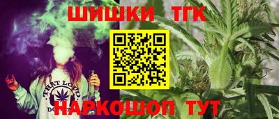 шишки Гатчина