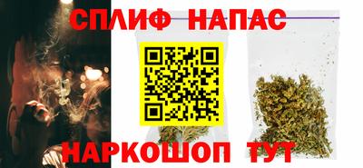 шишки Гатчина