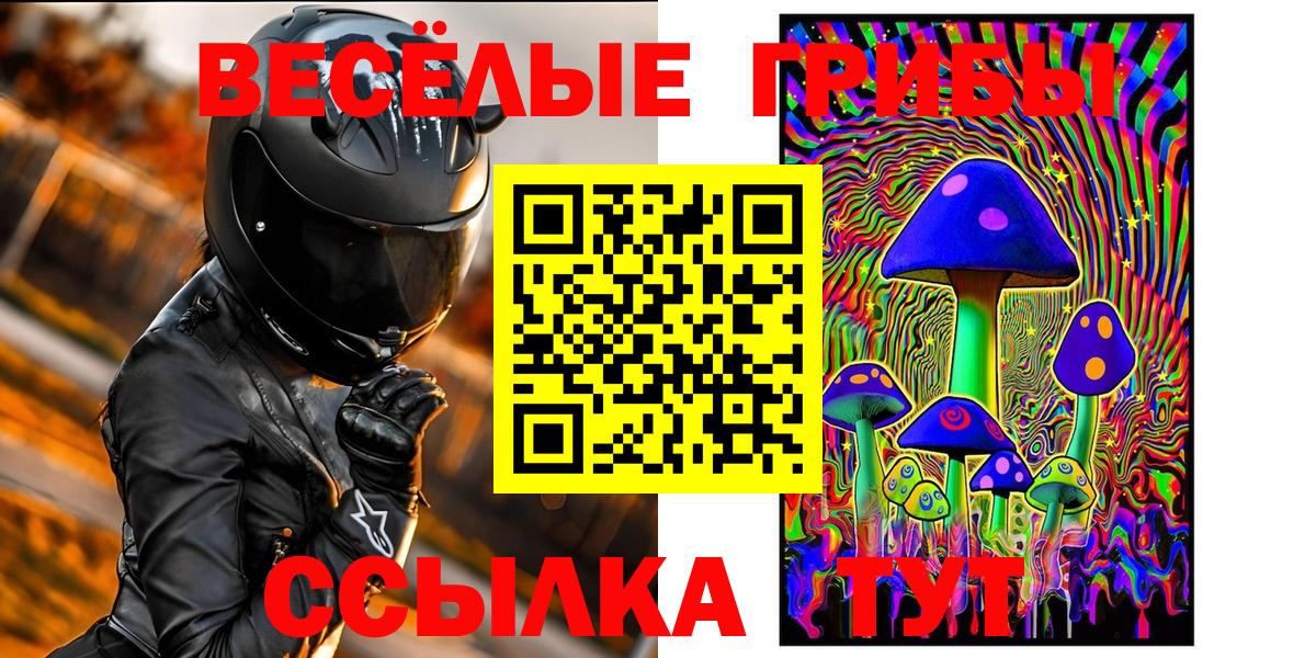 Галлюциногенные грибы GOLDEN TEACHER Алексеевка