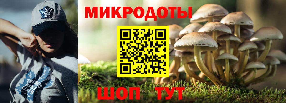 Алексеевка  Галлюциногенные грибы Cubensis  хочу   Вход с VPN  Псилоцибиновые грибы мицелий 